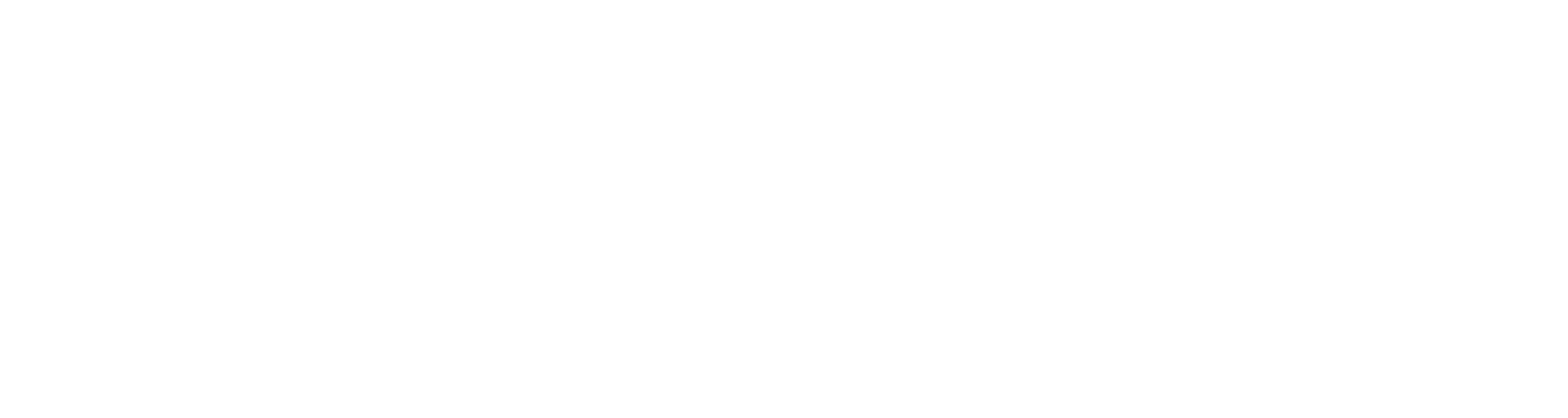 Boochi Travel